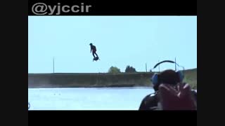 برد پرنده