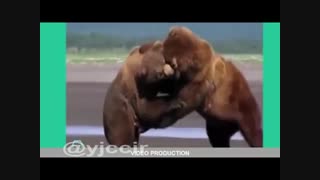 نبرد برای زندگی