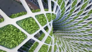 انیمیشن معماری مجتمع تجاری تفریحی "Anivia"