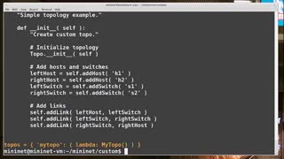 Mininet Custom Topologies