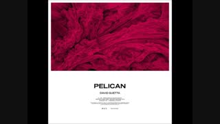 آهنگ jaZZ  جدید David Guetta به نام  Pelican