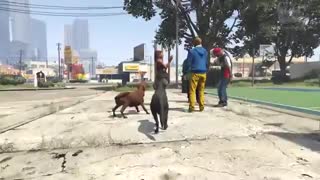 آموزش تبدیل شدن به حیوانات در GTA V