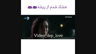 خشک شدم از ریشه ( سریال در انتظار آفتاب )