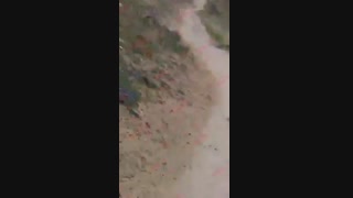 نبینی نصف مرت فناست دی خرید