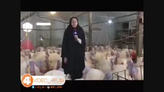 لحظات خنده دار خبرنگاران