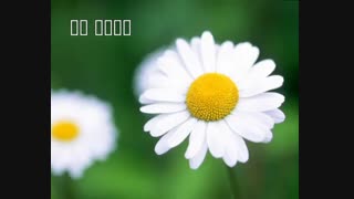 فقط توضیحات