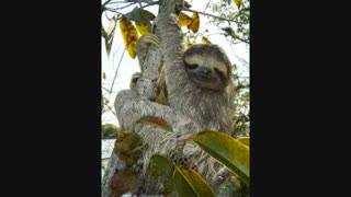 چه علاقه ای دارید به رمانم