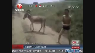 دیده شدن 2 خر وحشی برای اولین بار در تلویزیون