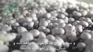 نحوه آبیاری قارچ دکمه ای