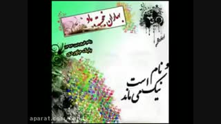 شماره ات رو پاک میکنم