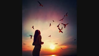 آهنگ تو رو دارم ......رامین بیباک