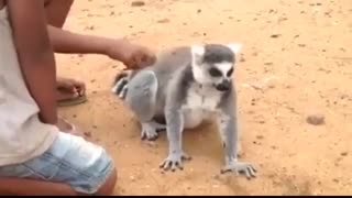 درخواست عجیب این حیوان از بچه ها