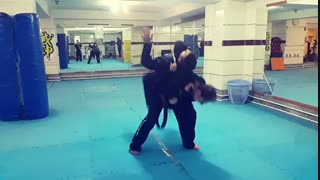 هاپکیدو - استاد نقیبی