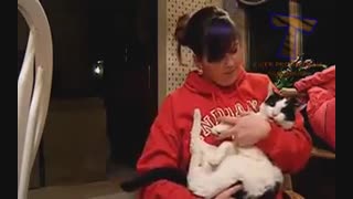 حرکات جالب و خنده دار حیوانات بامزه