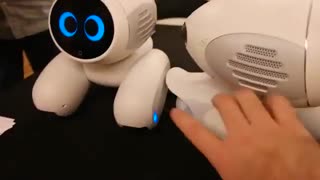 «دومگی»؛ حیوان خانگی رباتیک هوشمند