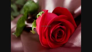 تقدیم به همه دوسای نماشایی