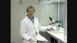 plant tissue culture