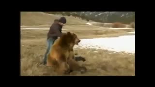 دوستی حیوانات وحشی با انسان ها