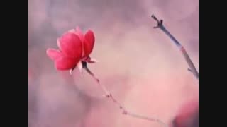 طلسم : شعر ودکلمه حسین منزوی