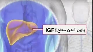 اینم یکی از هزاران فواید روزه!