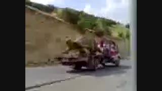 لاک پشت غول پیکر