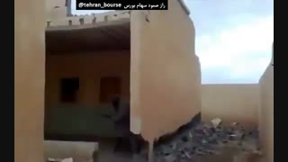 این دیگه کیه !! ولی عجب خوش شانس بود