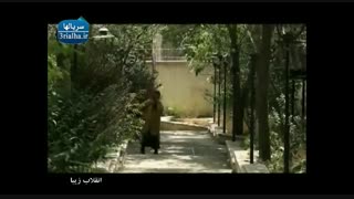 سریال انقلاب زیبا - 17