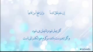 چند حکمت نهج البلاغه،حتما ببینید،حکمت در زندگی انسان