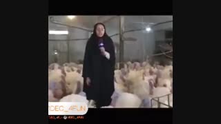 اتفاقات خنده دار هنگام تهیه ی گزارش ها (حتما ببینید )