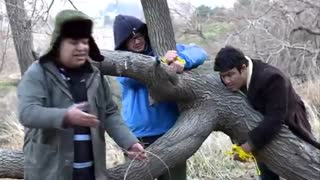 دانلود فیلم کامل نردبان چوبی