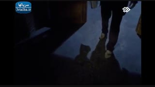 سریال برادر - 22