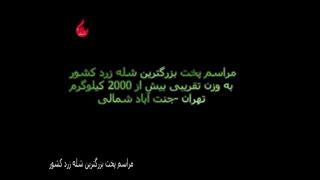 مراسم پخت بزرگترین شله زرد کشور، مجری طرح سید مسعود بنی حسینی