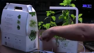 Click and Grow؛ باغبان هوشمند خانه