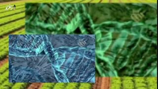 سلامتی شما با محصولات تراریخته در خطر است ...