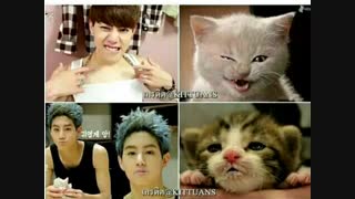 چی بگممممم؟؟؟؟