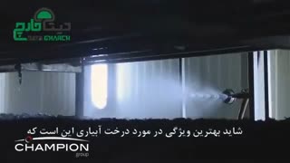 آبیاری در پرورش قارچ دکمه ای