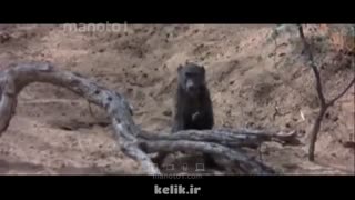 وایرال ویدئو - آدم های مست