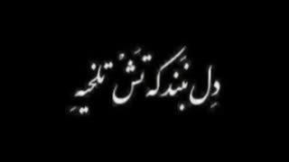 موزیک"پاپ لری"