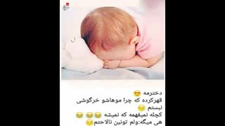 یکی اینوراضی کنه!!!!