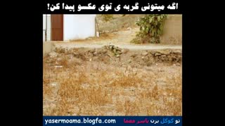 اینم یکی دیگه.