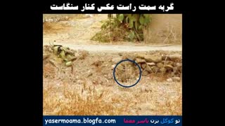 اینم جواب.