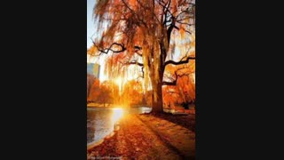 کاش چون پاییز بودم..