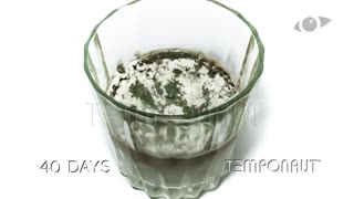 تایم لپس خراب شدن شیر