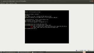 Capture Mininet traffic using Wireshark