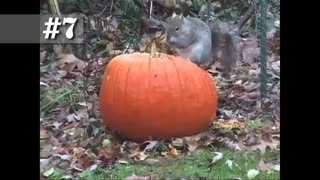 10 ,ویدئوی برتر تایم لپس را ببینید