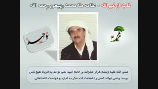 طلب از غیر الله- علامه محمد ربیعی رحمه الله - زیرنویس فارسی-جدید
