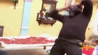 خنده دار ترین صحنه سریال هیتلر دیدی