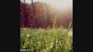 سلااااام صبحتون بخیر