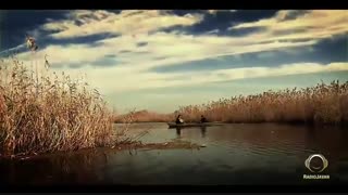 موزیک ویدئو خرچنگ های مردابی حبیب محبیان