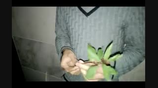 گذر زندگی با طاها پارت 2/TPA